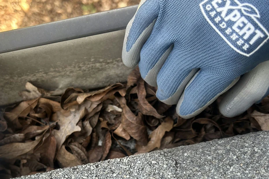 Gutter Cleaning Blythewood