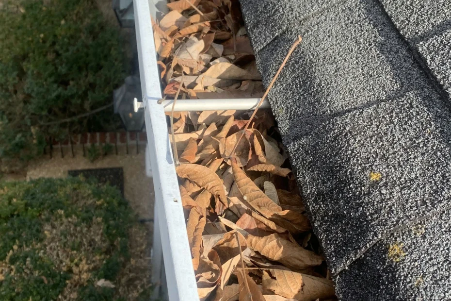 Gutter Cleaning Blythewood