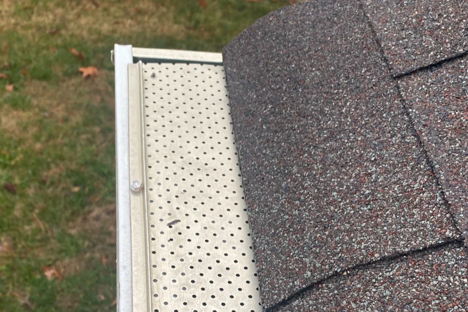 Gutter Cleaning Blythewood