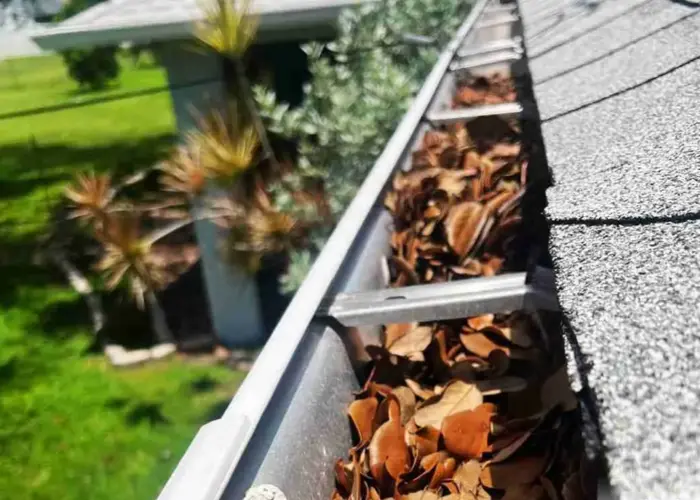 Gutter Cleaning Blythewood home page